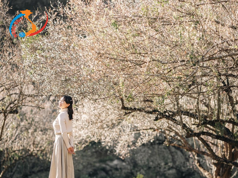 2. Mộc Châu 2. Mộc Châu