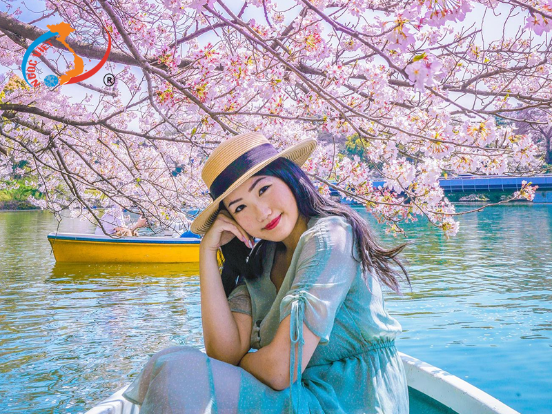 Địa điểm ngắm hoa anh đào ở Nhật Bản Địa điểm ngắm hoa anh đào ở Nhật Bản