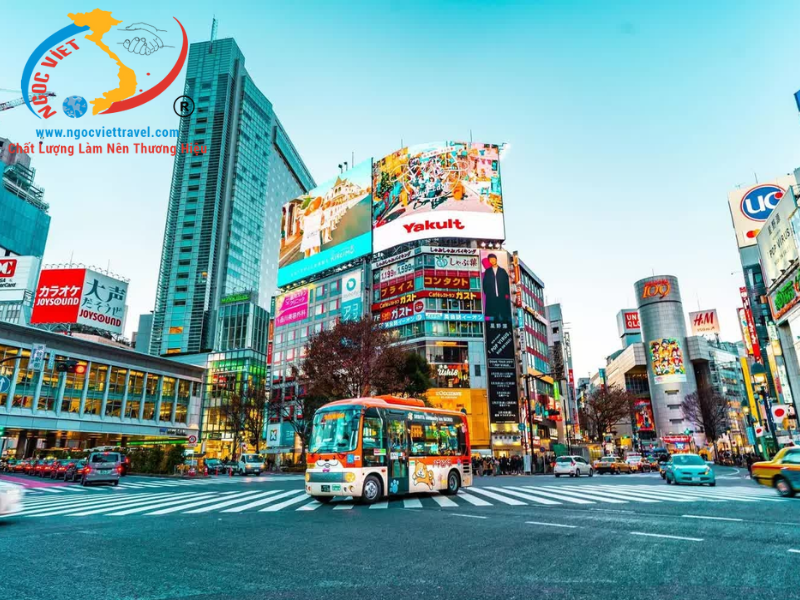 TOUR NHẬT BẢN - NARITA – TOKYO – FUJI –  NAGOYA – KANSAI (Tháng 1)