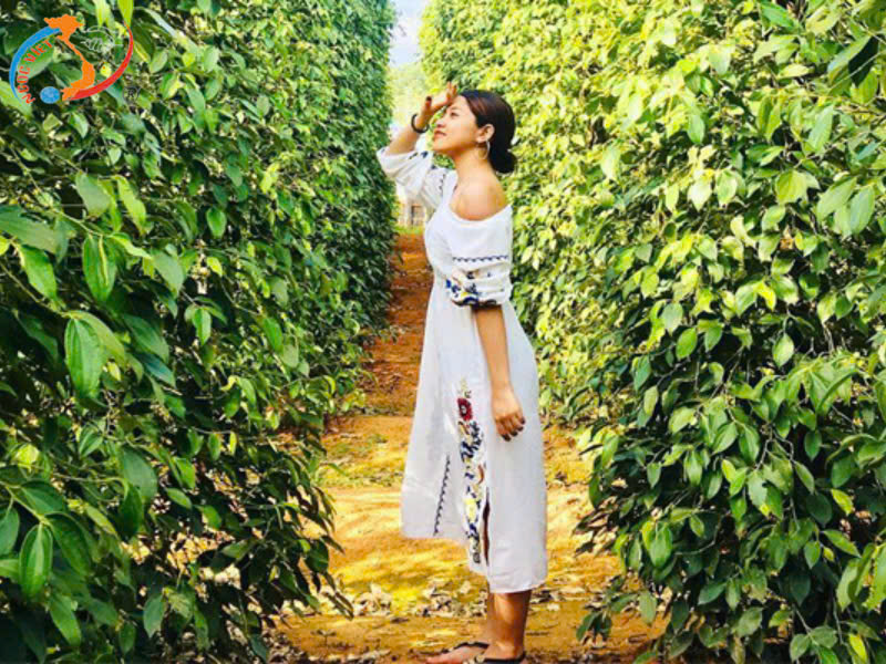 TOUR PHÚ QUỐC XUÂN BÍNH NGỌ 2026 - ĐÃ BAO GỒM VÉ MÁY BAY