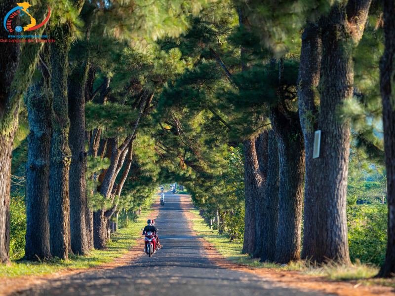 TOUR MĂNG ĐEN - KOM TUM - GIA LAI - BUÔN MÊ THUỘT - TÀ ĐÙNG - XE LIMOUSINE